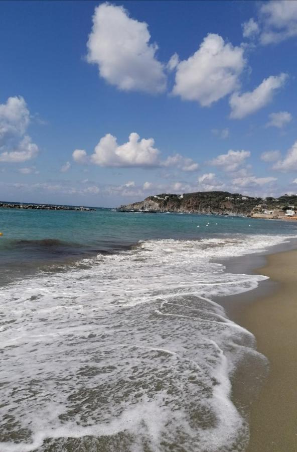 Forio di Ischia La Bicocca Di Annavi B&B 외부 사진