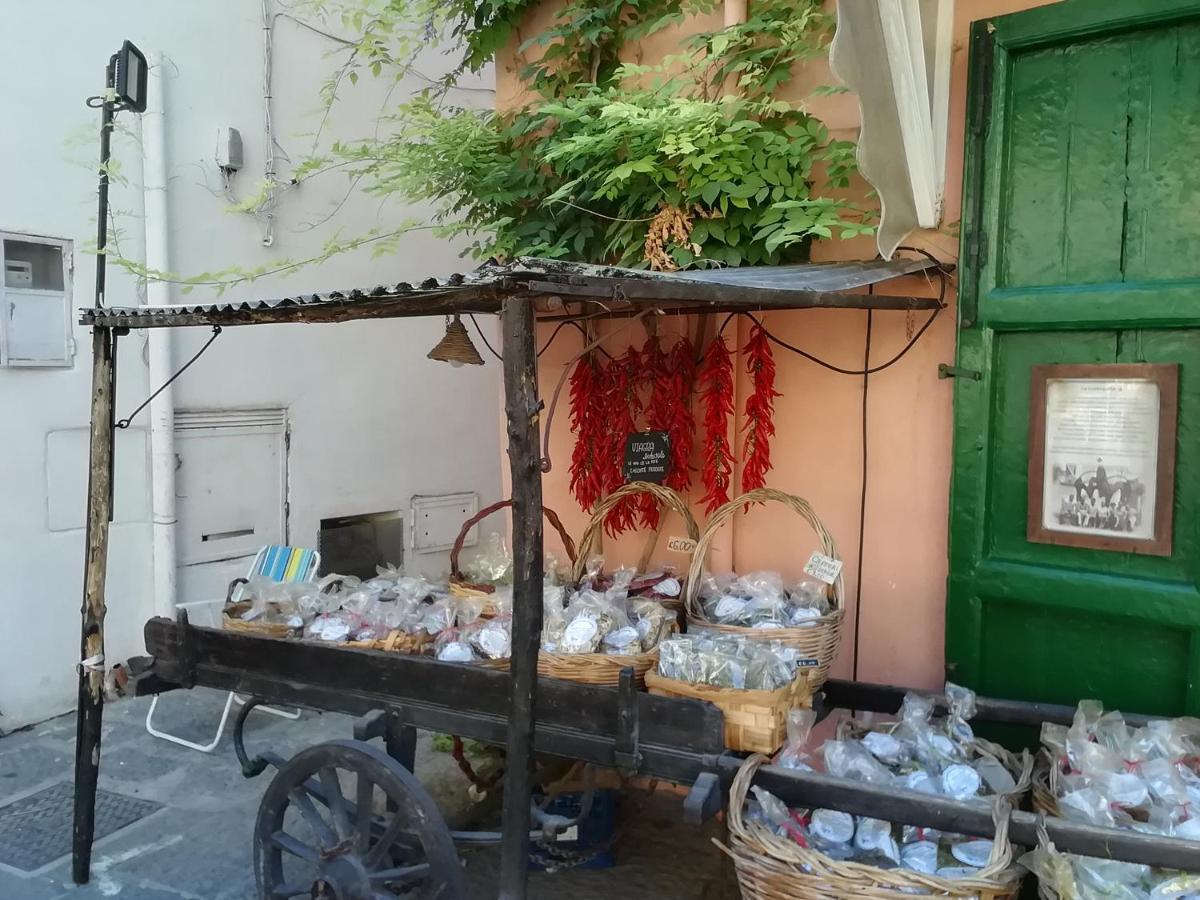 Forio di Ischia La Bicocca Di Annavi B&B 외부 사진