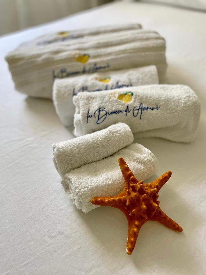 Forio di Ischia La Bicocca Di Annavi B&B 외부 사진
