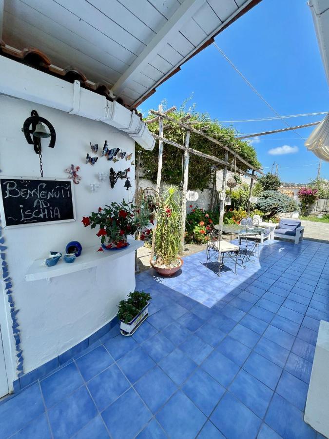 Forio di Ischia La Bicocca Di Annavi B&B 외부 사진