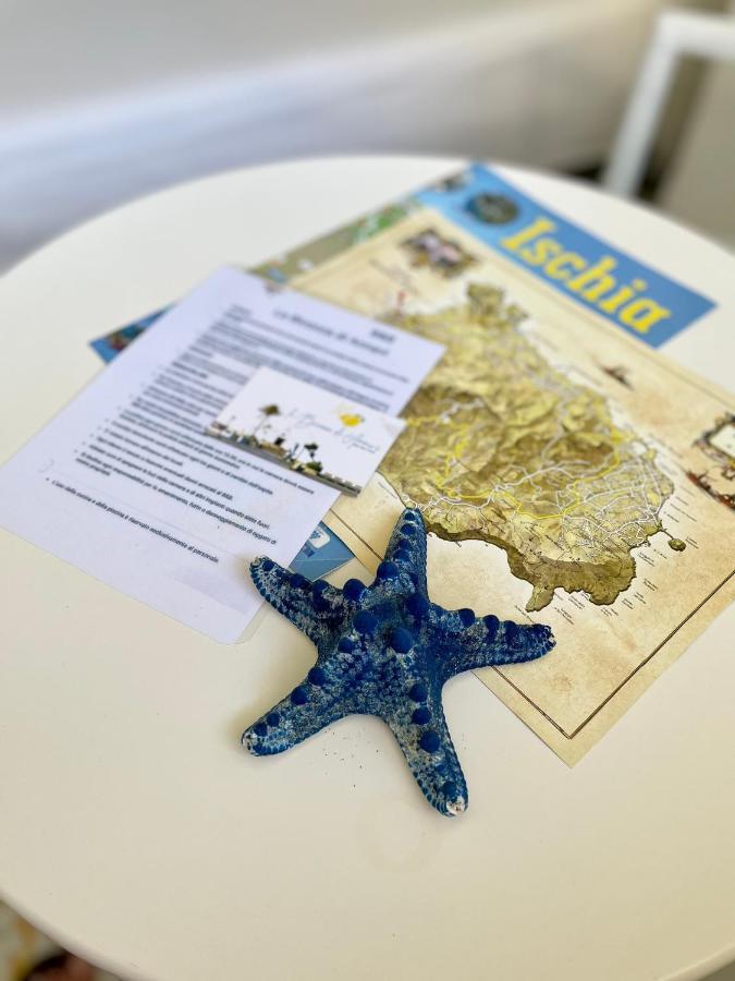 Forio di Ischia La Bicocca Di Annavi B&B 외부 사진