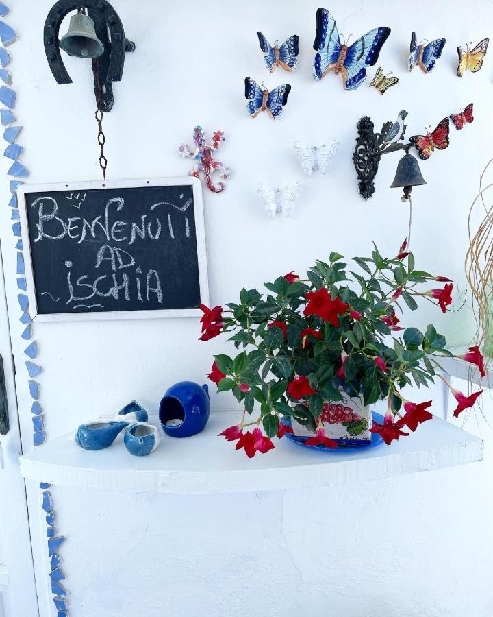 Forio di Ischia La Bicocca Di Annavi B&B 외부 사진