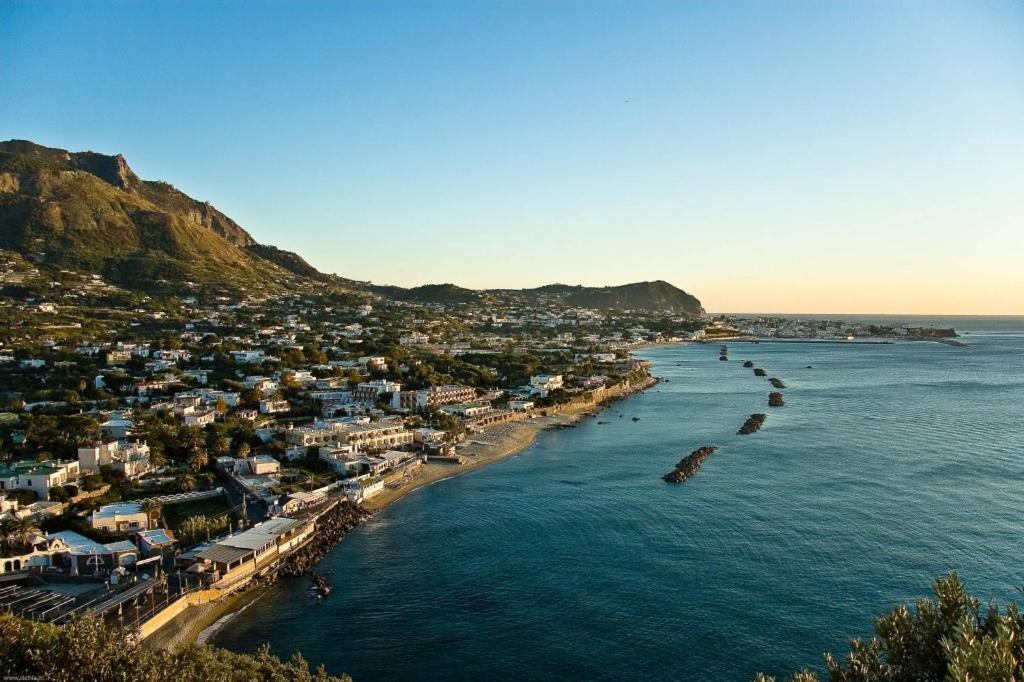 Forio di Ischia La Bicocca Di Annavi B&B 외부 사진